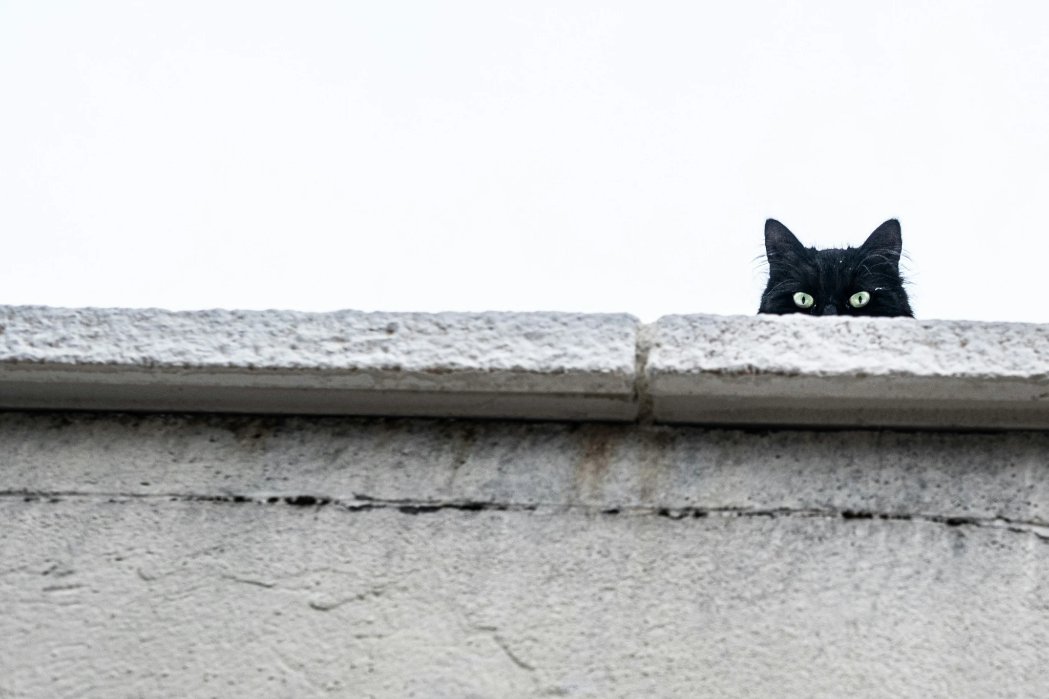 Always watching